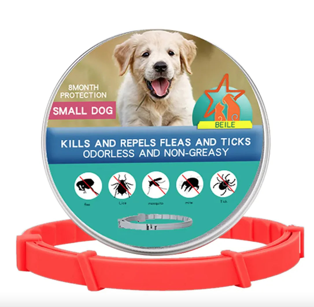 Anti-Flea Puppy Dog Collar