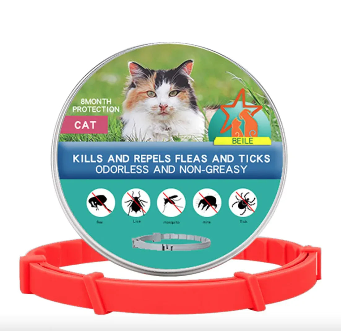 Anti-Flea Puppy Dog Collar