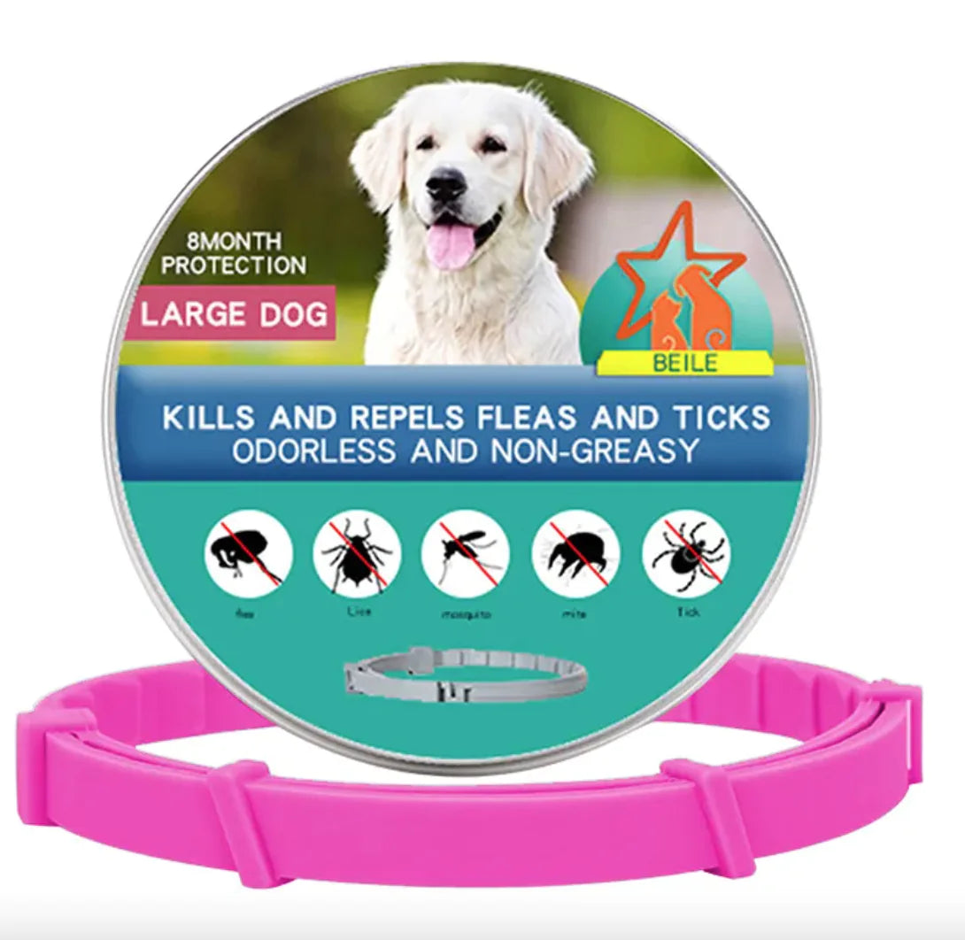 Anti-Flea Puppy Dog Collar