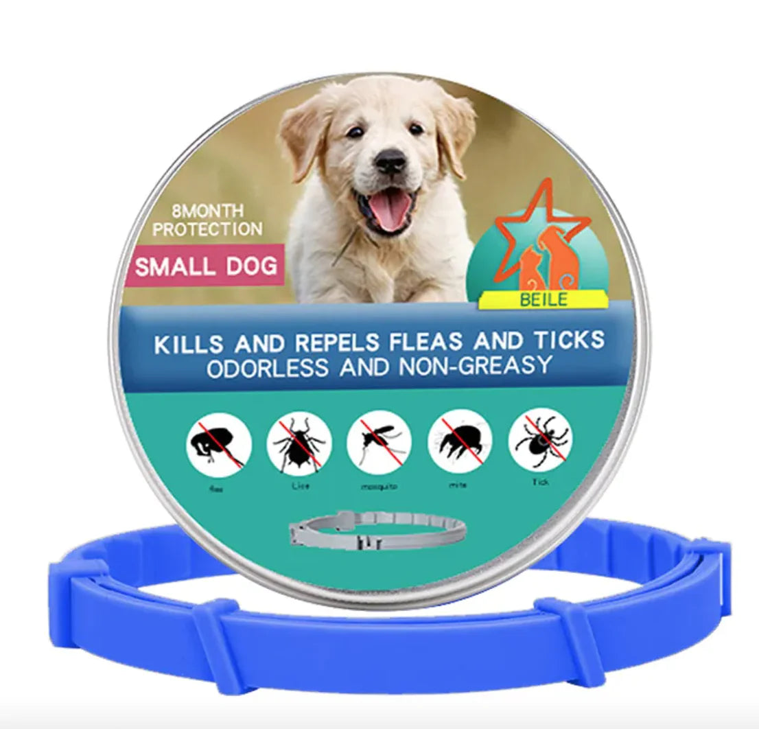 Anti-Flea Puppy Dog Collar