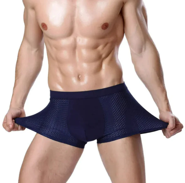 Men's Ice Silk Mesh U-Convex Boxer Briefs