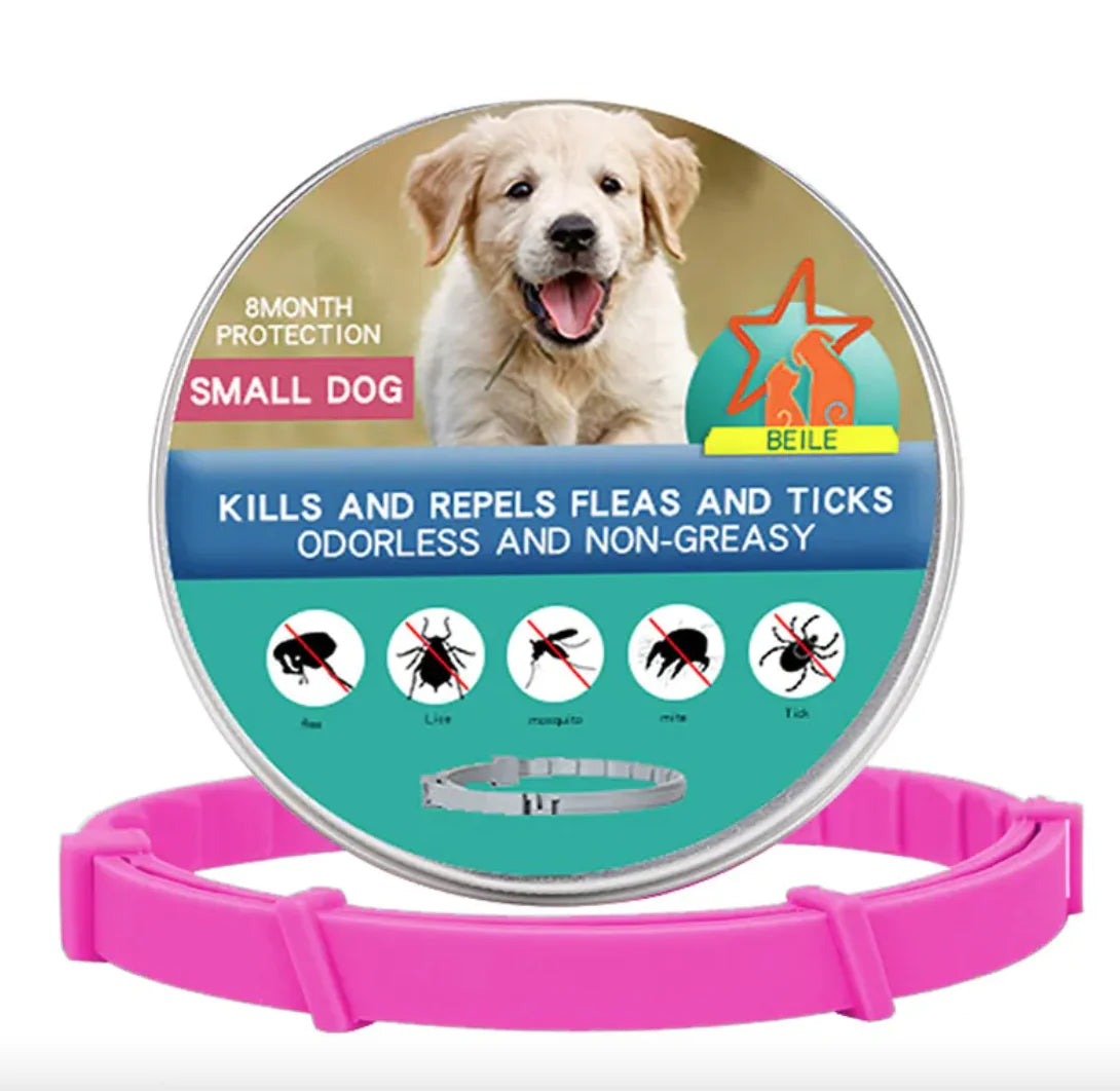 Anti-Flea Puppy Dog Collar